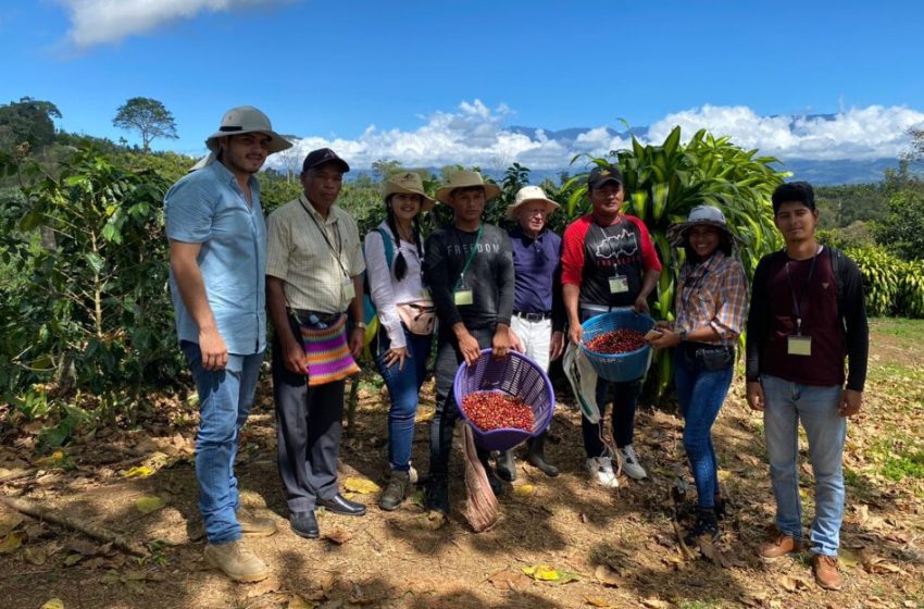  Panameños inician intercambio de experiencias en café y cacao en Costa Rica