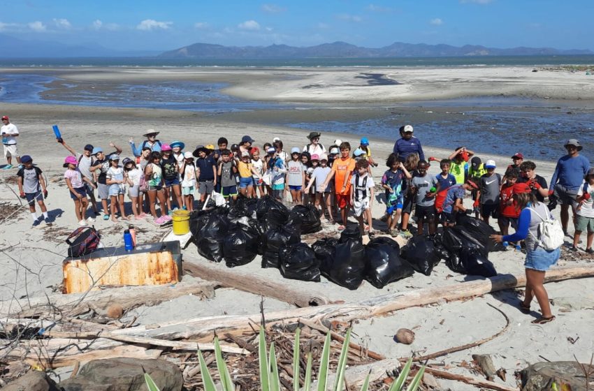  50 bolsas con desechos sólidos fueron recolectadas en limpieza de playa en Punta Chame