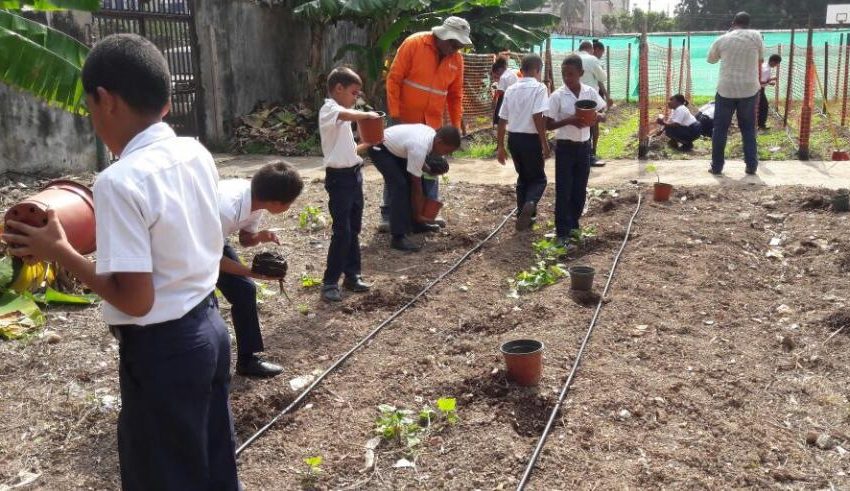  Panamá, tercer país en aprobar propuesta para implementar la educación para el desarrollo sostenible