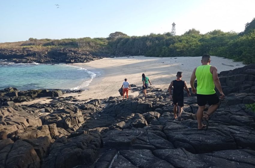  Realizan limpieza en Isla Iguana para conservación de los ecosistemas marinos de la zona