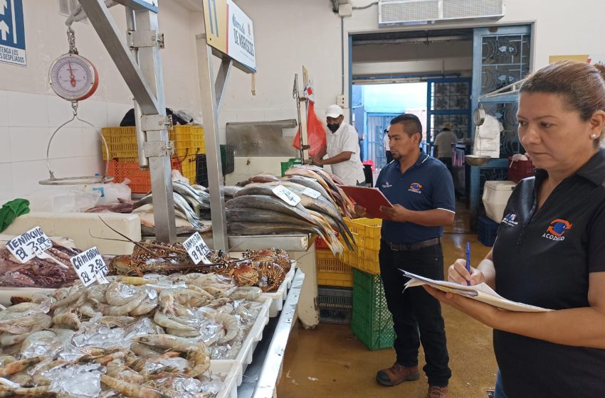 Conozca cuales son precios de los productos del mar en el Mercado de Mariscos
