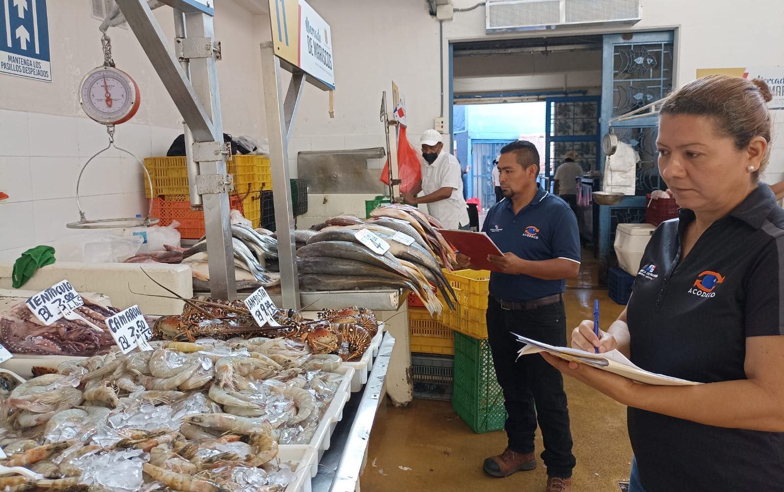Conozca cuales son precios de los productos del mar en el Mercado de  Mariscos - Decisiones Panamá