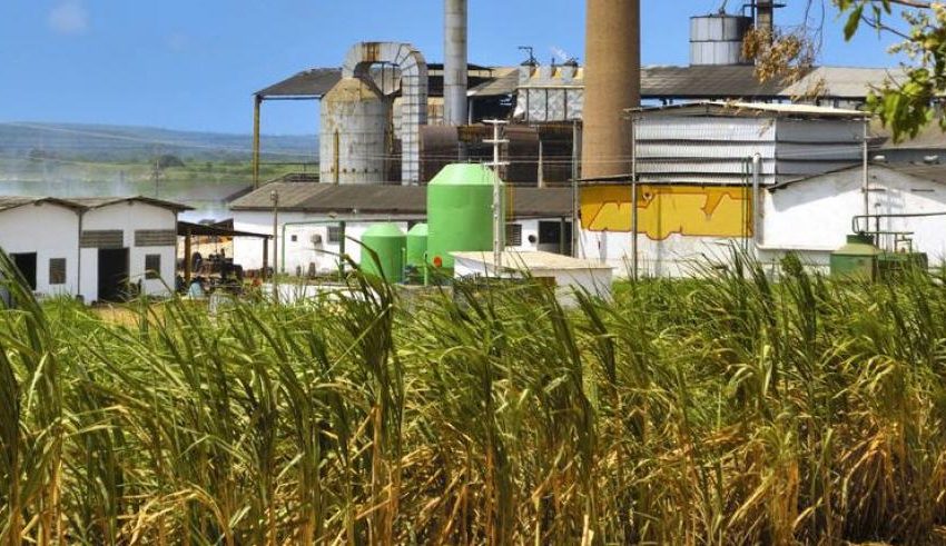  Panamá se prepara para uso del etanol