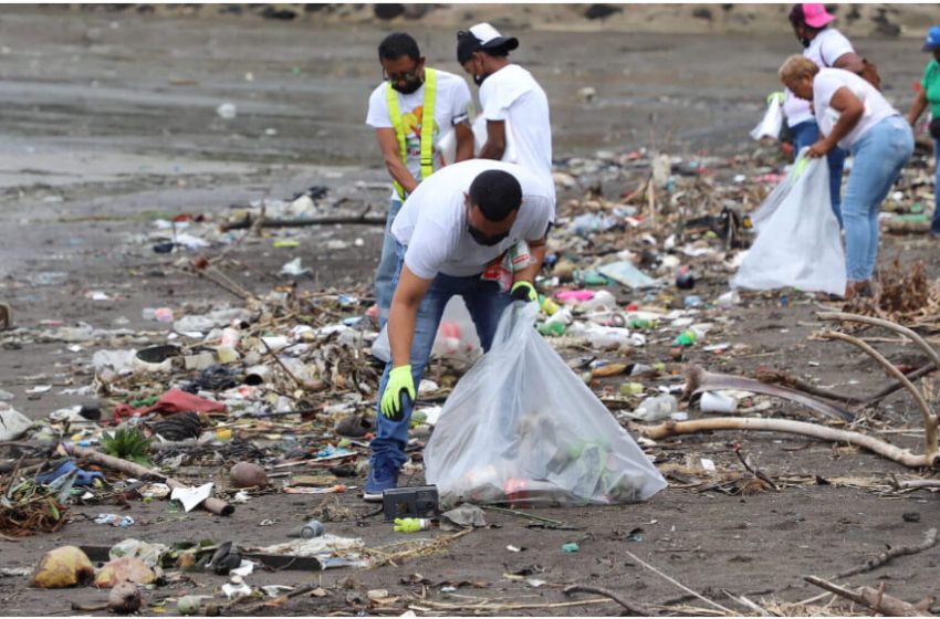  Anuncian limpieza de playa en Costa del Este