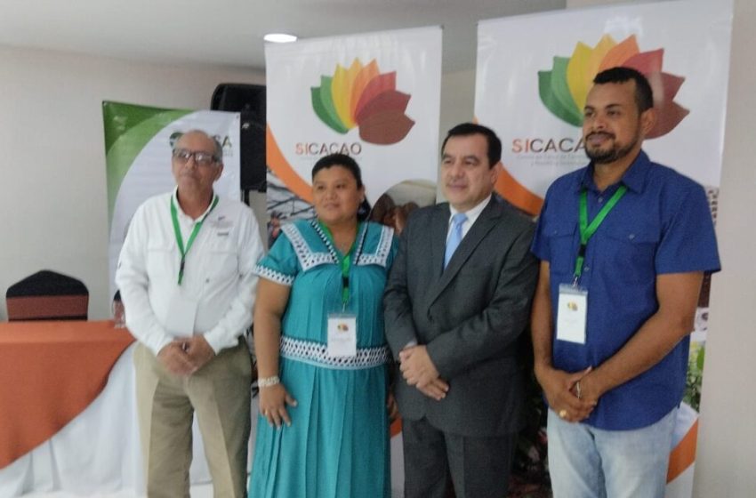  Panamá participa en Reunión Regional anual de productores de cacao de Centroamérica y República Dominicana