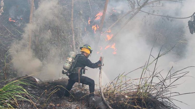  Más de 9,600 emergencias atendieron los bomberos en el primer trimestre de 2023