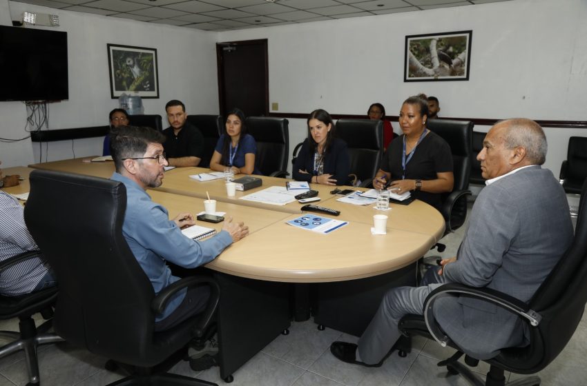  Panamá se prepara para utilizar la ciencia para combatir el trasiego ilegal de madera