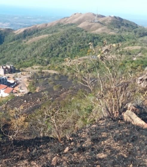  Incendio de masa vegetal consume 8.6 hectáreas en área protegida en Panamá Oeste