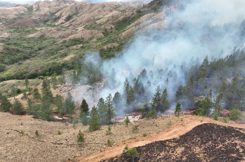  Incendios forestales afectan gran parte de las áreas de reserva en Veraguas