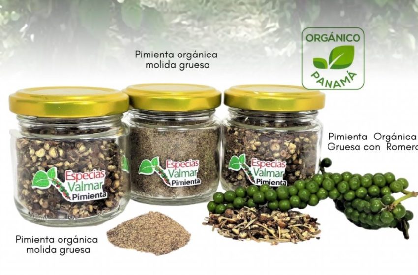  Panamá participará con pimienta orgánica en concurso internacional en el Reino Unido