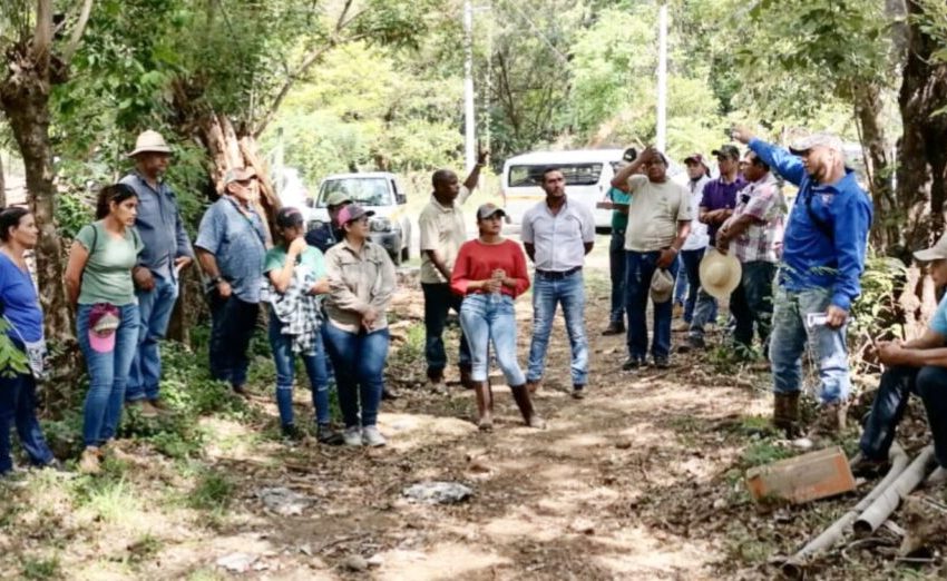  MIDA realiza escuela de campo para productores en Chiriquí