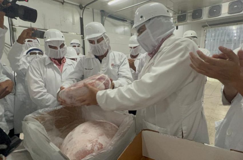  Panamá exporta primer contenedor de carne de cerdo a Nicaragua