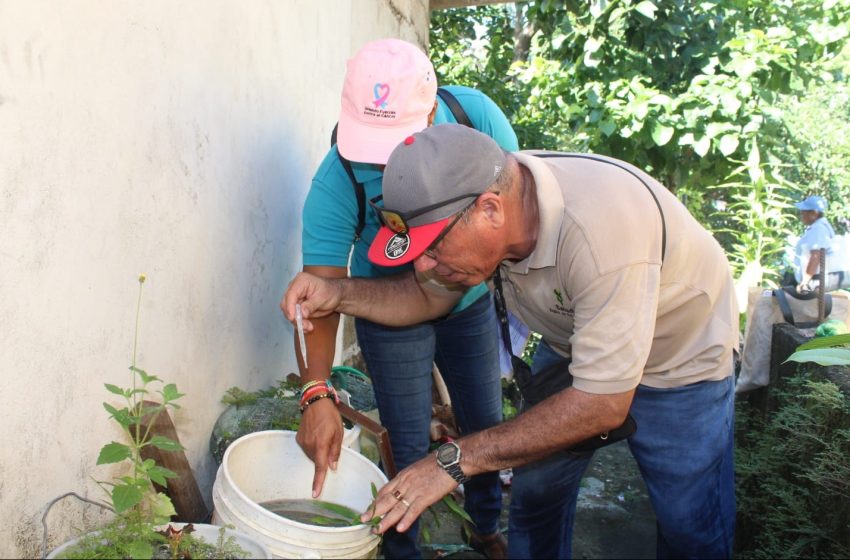  Aumentan casos de dengue en San Miguelito