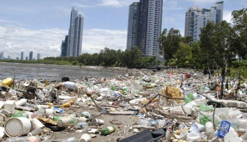  Anuncian limpieza de playa en Costa del Este