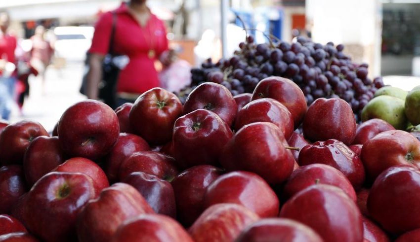  Panamá será sede del Codex Alimentarius 2024