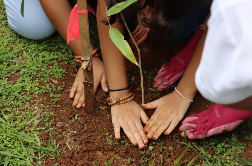  Inicia la jornada de reforestación en el Parque Omar