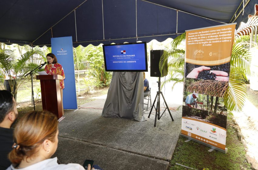  Panamá inicia proyecto innovador relacionado con el uso responsable y sostenible del bambú