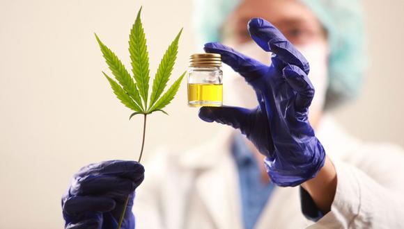  Más de 20 empresas interesadas en obtener licencias para la fabricación de derivados del Cannabis medicinal