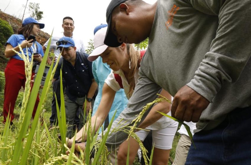  Unión Europea visita zonas rurales en Veraguas para conocer el impacto de los proyectos que han financiado en Panamá