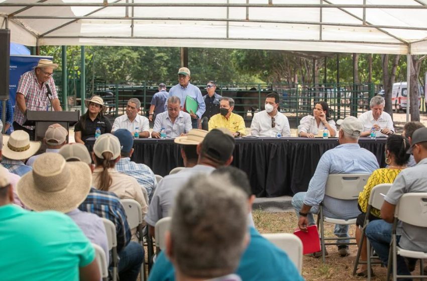  Gobierno Nacional entrega viviendas, sementales, puente y lleva electricidad a comunidades rurales en Herrera