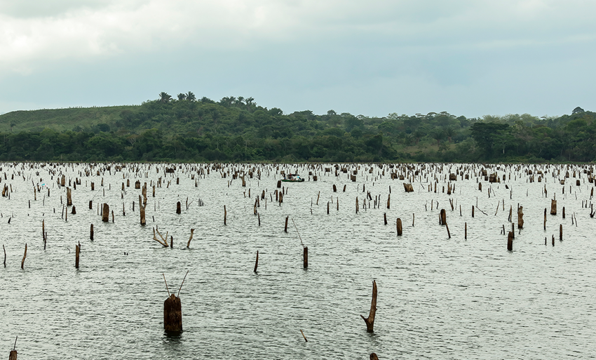  Canal de Panamá realizará voladuras subacuáticas en un sector del lago Gatún