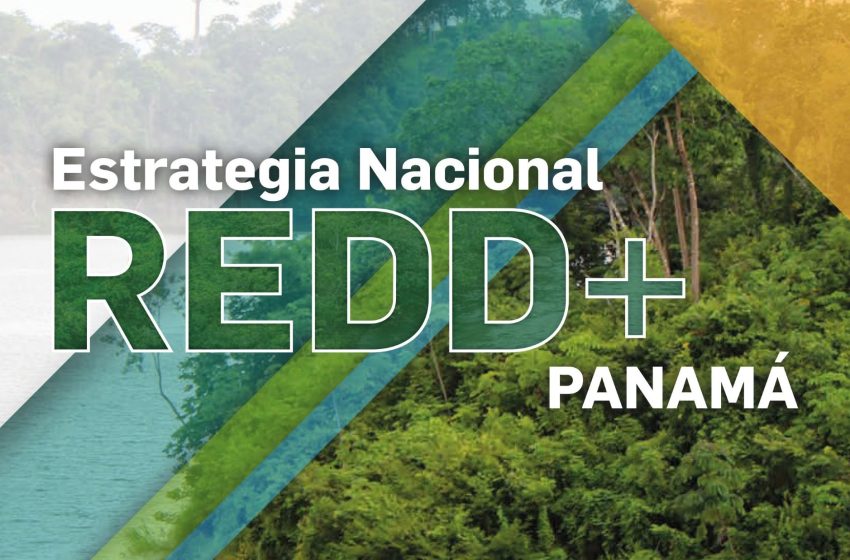  Panamá cumple con los cuatro pilares del Marco de Varsovia para acceder a financiamiento climático para REDD+