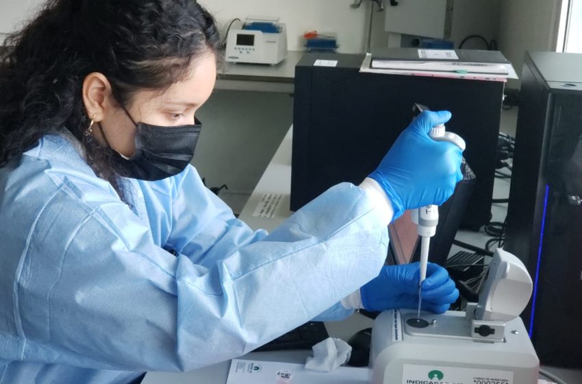  Investigadores panameños publican estudio sobre tuberculosis en revista científica internacional