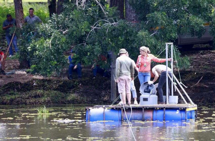  En Herrera autoridades de salud toma acciones ante contaminación del lago de Ocú