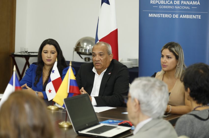  Países latinoamericanos se reúnen en Panamá para coordinar posición frente a la próxima reunión de la Comisión Ballenera Internacional