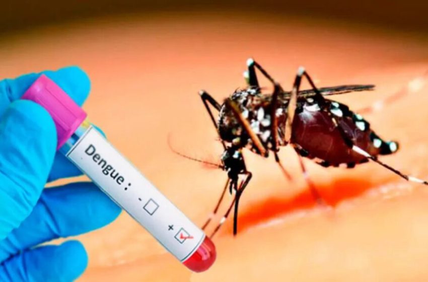  Autoridades confirman casos por dengue en Panamá Oeste