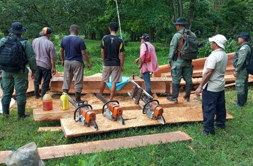  Policía aprehende a 4 ciudadanos realizando tala ilegal en el Parque Nacional Cerro Hoya