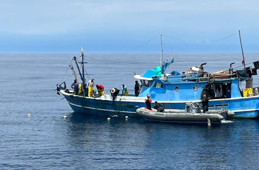  Autoridades ambientales asestan duro golpe a pesca ilegal y aleteo de tiburones