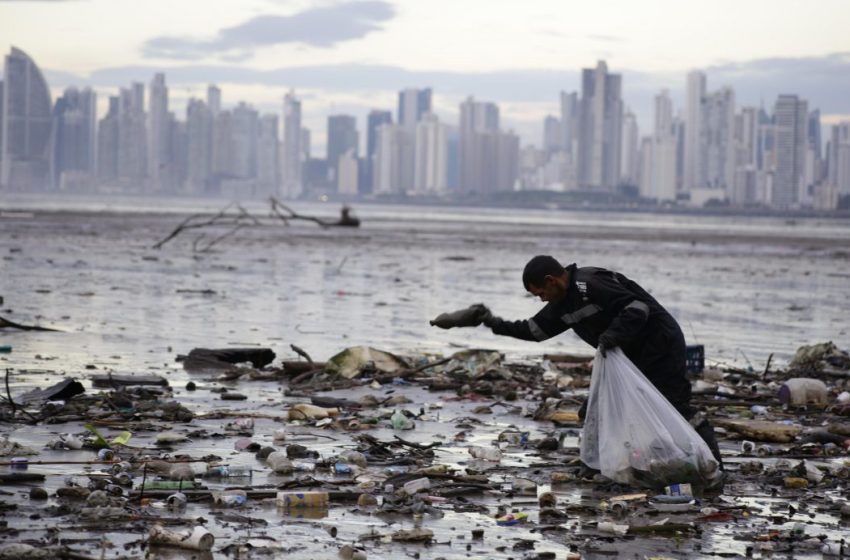  Dedican jornada de limpieza de playas del distrito capital en el ‘Mes de los Océanos’