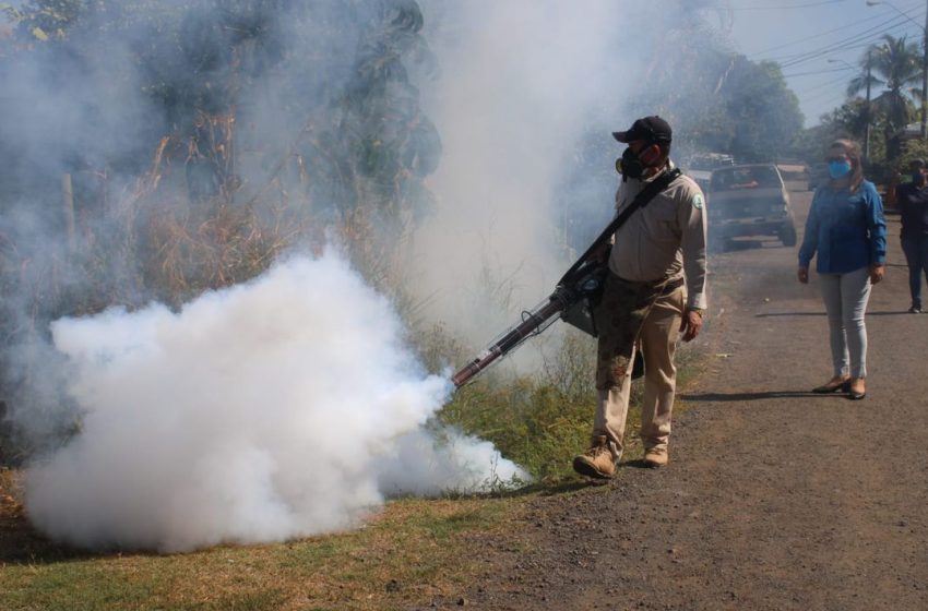  Aumentan casos de dengue en Panamá Oeste