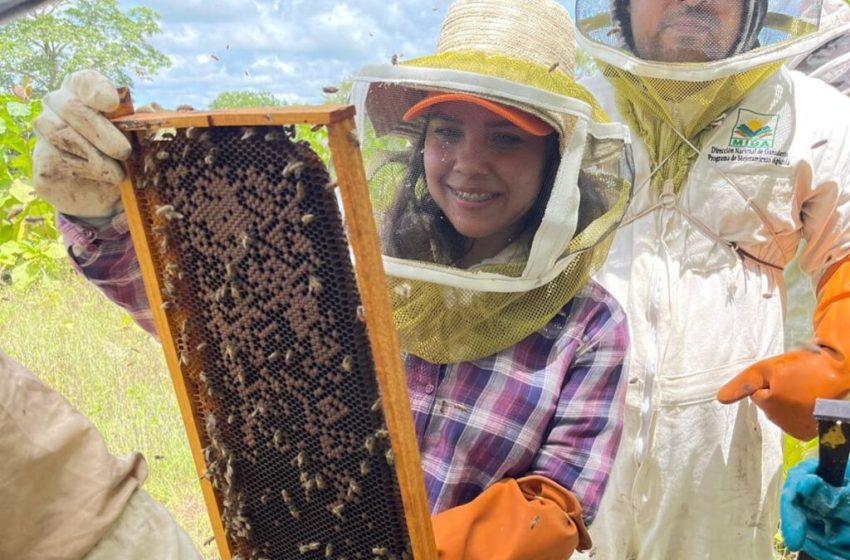  Capacitan a productores apícolas principiantes