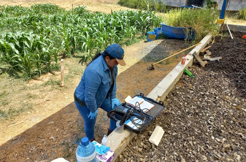  Investigación muestra viabilidad del uso de aguas residuales domésticas regeneradas y biosólidos en la agricultura