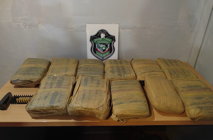  Decomisan más de mil paquetes de presunta droga en la Operación Omega