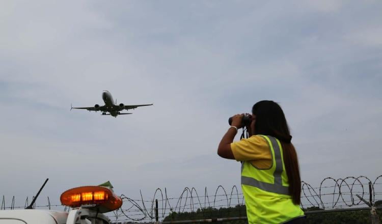  Aeropuerto de Tocumen alerta sobre migración de aves