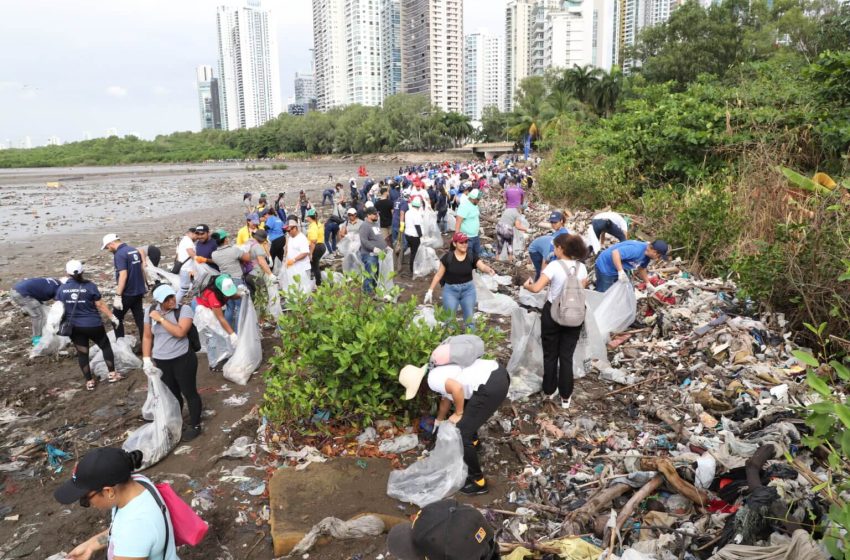  Más de 200 mil toneladas de basura recolectadas en 35 jornadas de limpieza de playas