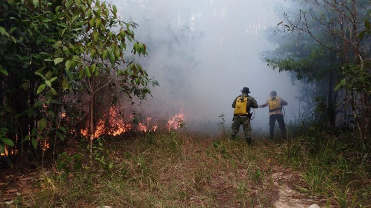  Cuerpo de Bomberos: Preocupa aumento de incendio de herbazales con la llegada de estación seca