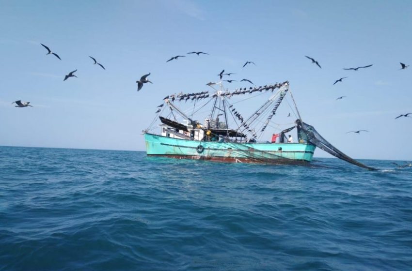  Panamá sigue trabajando para lograr que la Unión Europea le elimine la tarjeta amarilla en materia de pesca