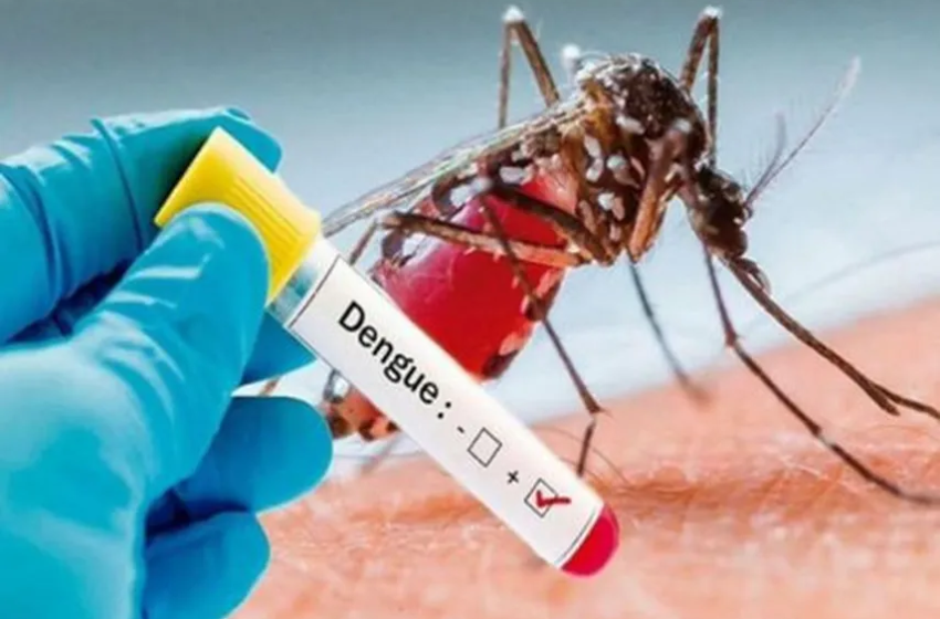  Autoridades de Salud buscan mecanismos para contrarrestar avance del Dengue en Panamá