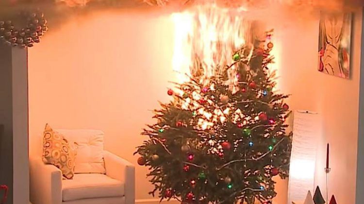  Cuerpo de bomberos brinda recomendaciones para evitar incendios durante las fiestas de diciembre