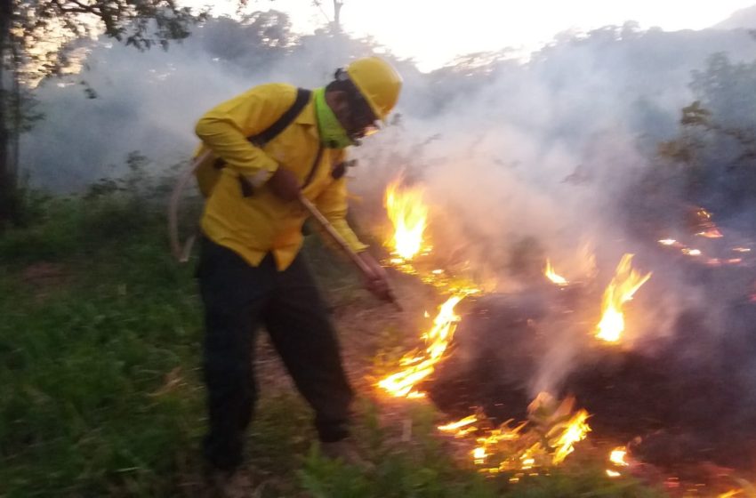  Inicia campaña de prevención de incendios de masa vegetal en Panamá Oeste