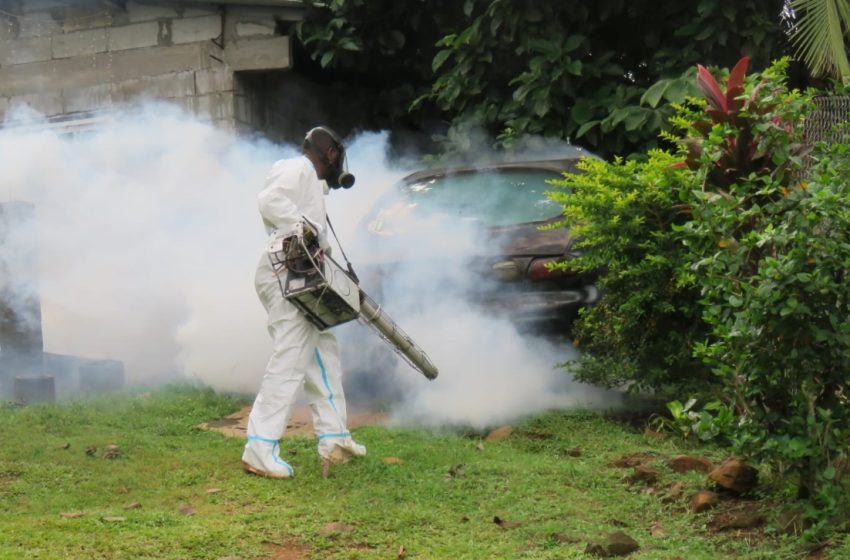  Colón reporta 36 casos de dengue y 77 casos de Covid-19 en lo que va del año