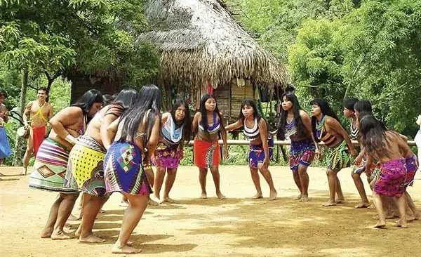  Coordinadora indígena panameña COONAPIP celebra su 33 Aniversario