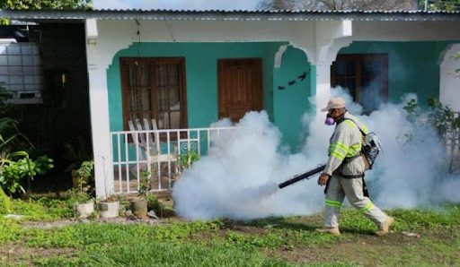  Minsa pide a la población aunar esfuerzos contra el dengue