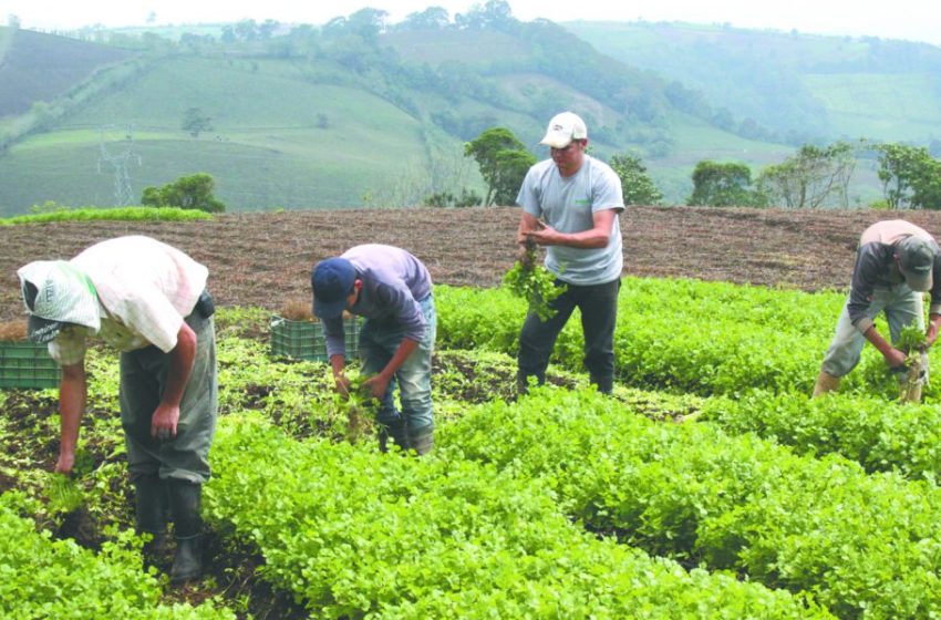  Cortizo: sector agropecuario está organizado para defender las conquistas logradas