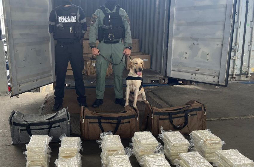  Incauta 59 paquetes de presunta droga en un puerto en Colón