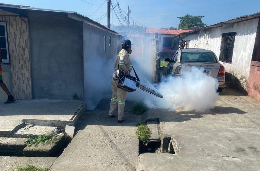  En Colón: Minsa hace el llamado a la comunidad a eliminar los criaderos de mosquitos